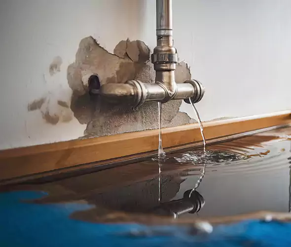 Professional Water Damage Restoration Experts in Myrtle Beach, SC — Fast, Reliable & Certified