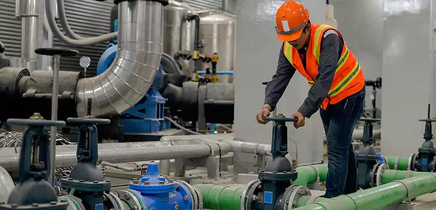 Top-Notch Trenchless Sewer Line Repair Services in Myrtle Beach, SC.