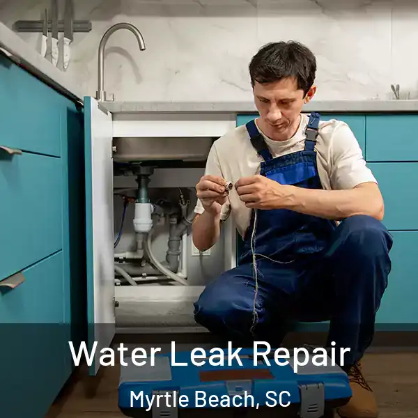  Water Leak Repair Myrtle Beach, SC